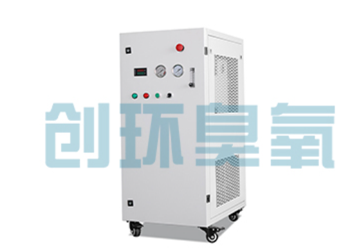 阜阳石斑鱼养殖水质调控完整指南：臭氧发生器配置与操作步骤