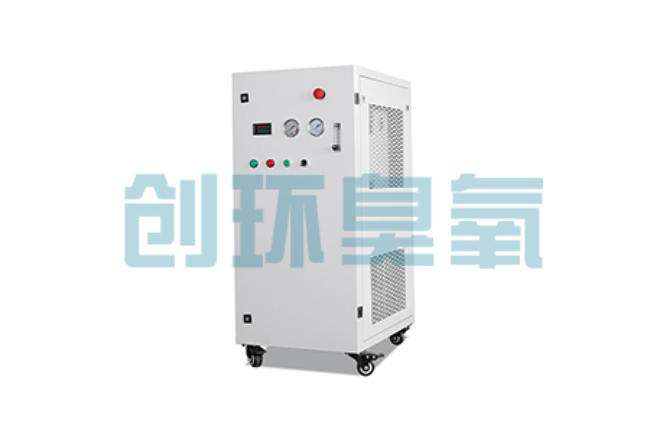 阜阳比传统换水更高效？臭氧发生器在石斑鱼养殖中的水质净化原理解析
